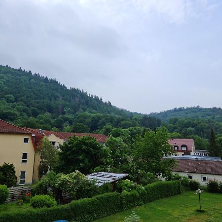 Pension Kreihe Im Harz Bad Lauterberg Buitenkant foto